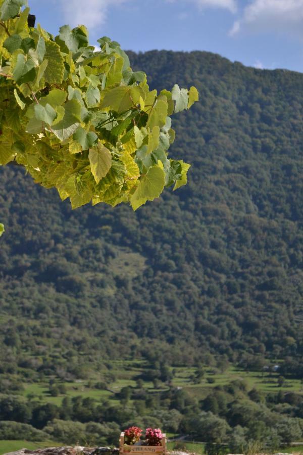 B&B La Casa Vecchia Gallo  Εξωτερικό φωτογραφία